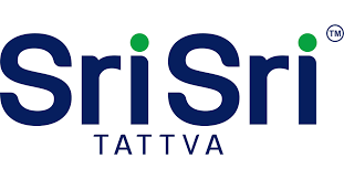 Client logo 15